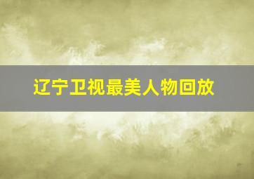 辽宁卫视最美人物回放