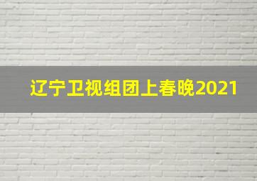 辽宁卫视组团上春晚2021