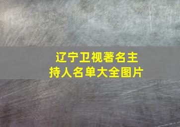 辽宁卫视著名主持人名单大全图片