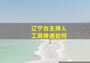 辽宁台主持人工资待遇如何