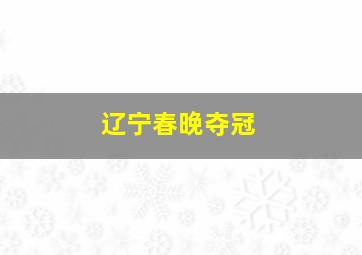 辽宁春晚夺冠