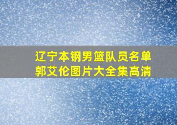 辽宁本钢男篮队员名单郭艾伦图片大全集高清