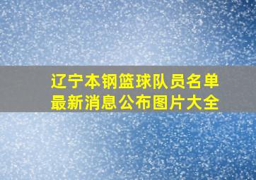 辽宁本钢篮球队员名单最新消息公布图片大全