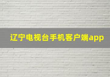 辽宁电视台手机客户端app