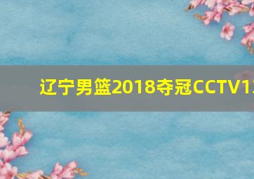 辽宁男篮2018夺冠CCTV13