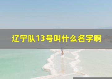 辽宁队13号叫什么名字啊