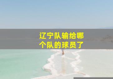 辽宁队输给哪个队的球员了