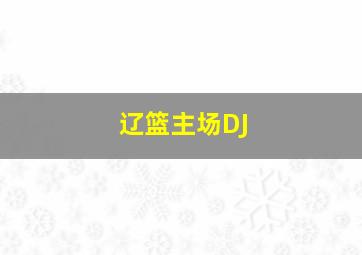 辽篮主场DJ