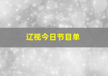 辽视今日节目单