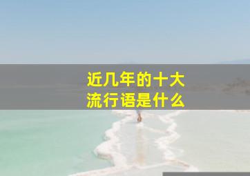 近几年的十大流行语是什么