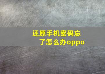 还原手机密码忘了怎么办oppo