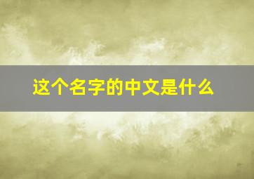 这个名字的中文是什么