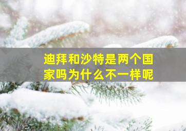 迪拜和沙特是两个国家吗为什么不一样呢