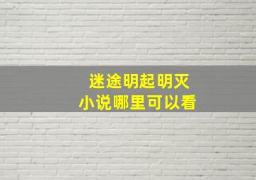 迷途明起明灭小说哪里可以看