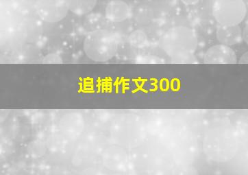 追捕作文300