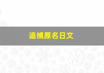 追捕原名日文