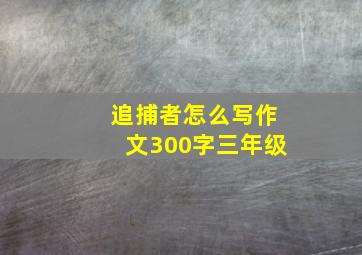 追捕者怎么写作文300字三年级