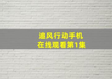 追风行动手机在线观看第1集