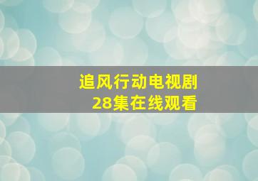 追风行动电视剧28集在线观看