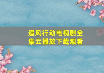 追风行动电视剧全集云播放下载观看