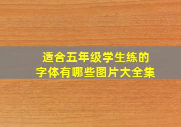 适合五年级学生练的字体有哪些图片大全集