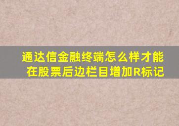 通达信金融终端怎么样才能在股票后边栏目增加R标记