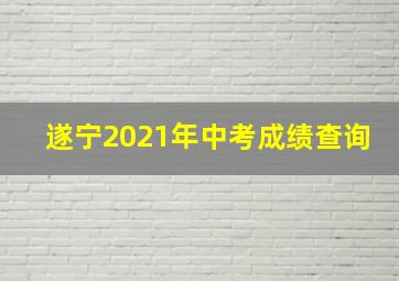 遂宁2021年中考成绩查询