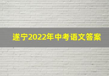 遂宁2022年中考语文答案