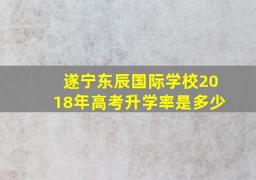 遂宁东辰国际学校2018年高考升学率是多少