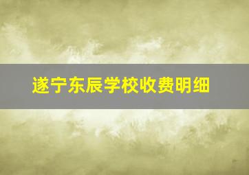 遂宁东辰学校收费明细