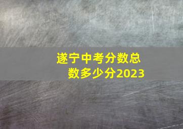 遂宁中考分数总数多少分2023