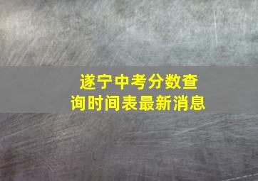 遂宁中考分数查询时间表最新消息