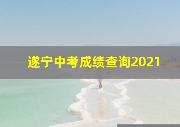 遂宁中考成绩查询2021