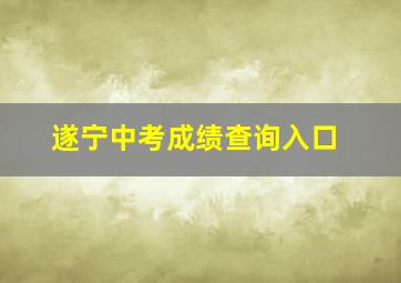 遂宁中考成绩查询入口