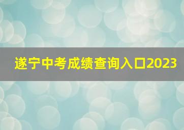 遂宁中考成绩查询入口2023