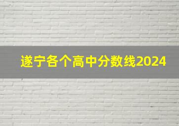 遂宁各个高中分数线2024