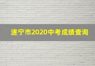 遂宁市2020中考成绩查询