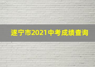 遂宁市2021中考成绩查询