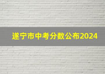 遂宁市中考分数公布2024