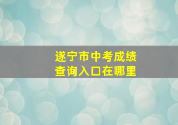 遂宁市中考成绩查询入口在哪里