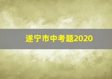 遂宁市中考题2020