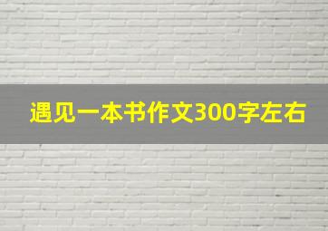 遇见一本书作文300字左右