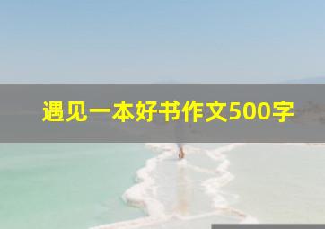 遇见一本好书作文500字