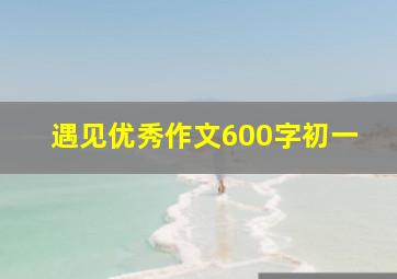 遇见优秀作文600字初一