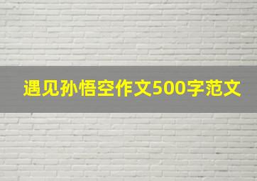 遇见孙悟空作文500字范文