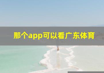 那个app可以看广东体育