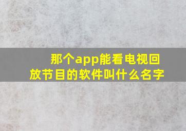 那个app能看电视回放节目的软件叫什么名字