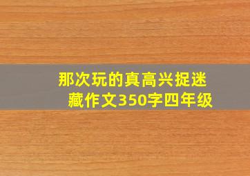 那次玩的真高兴捉迷藏作文350字四年级