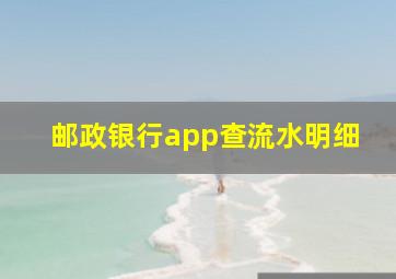 邮政银行app查流水明细