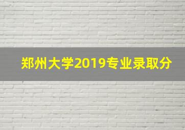 郑州大学2019专业录取分